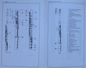 Partes de una flauta de do. Atlas de instrumentos musicales.